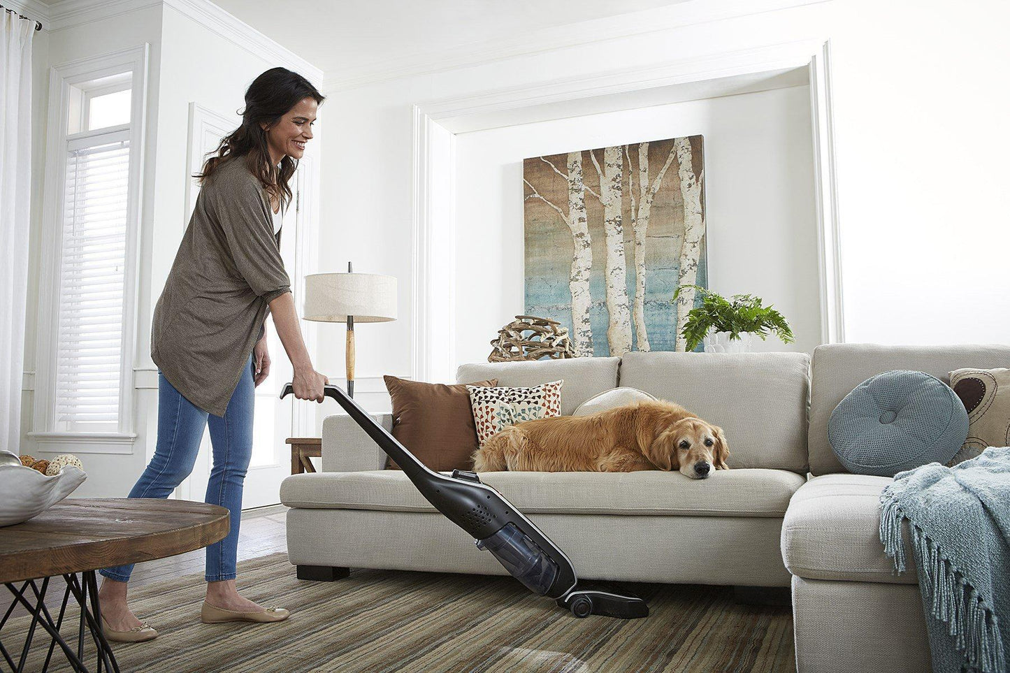 LiNX Signature Cordless Stick Vacuum